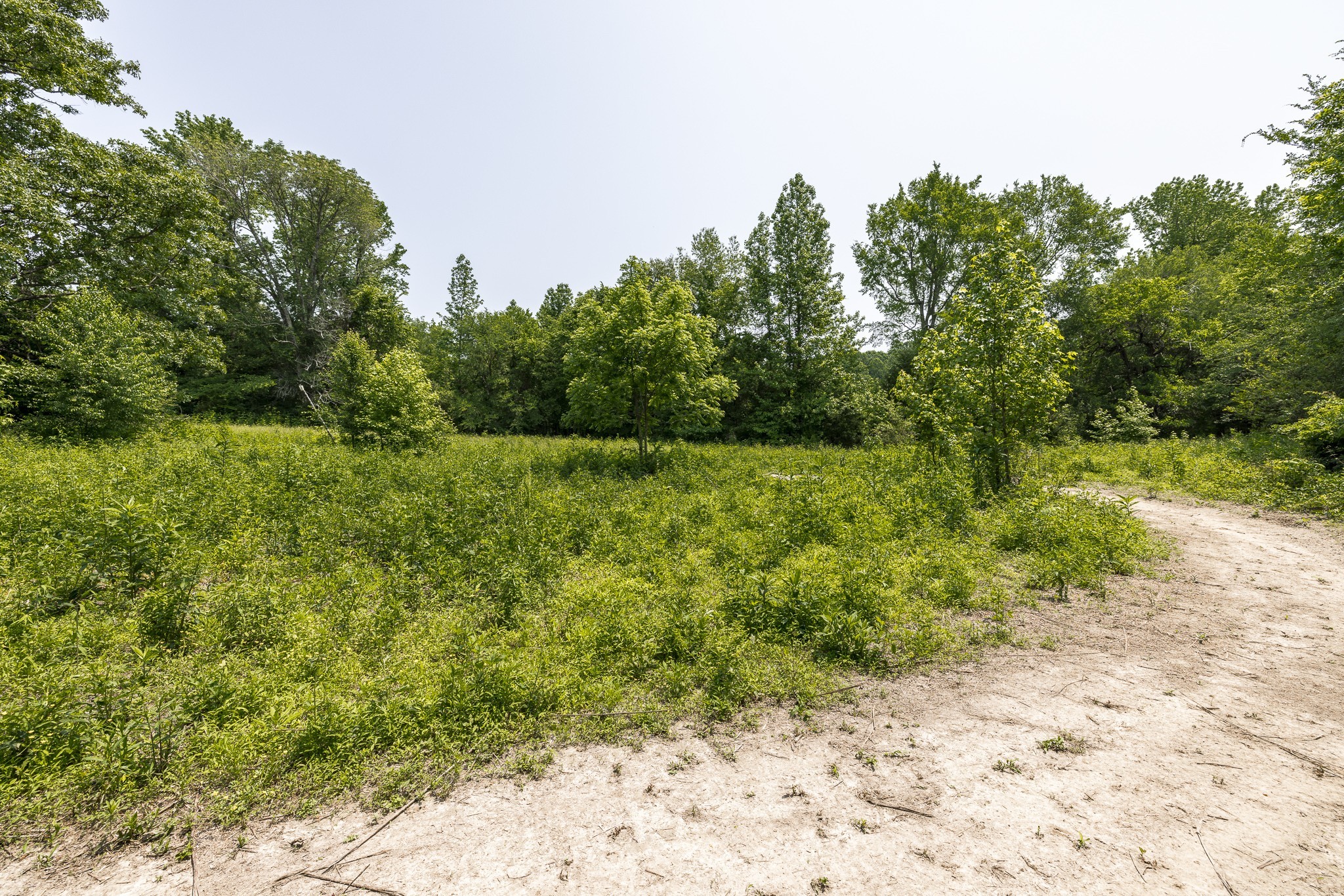 5945 Dewey Carr Road Bethpage, TN 37022 - Photo 47 of 63 Gallery Image 47