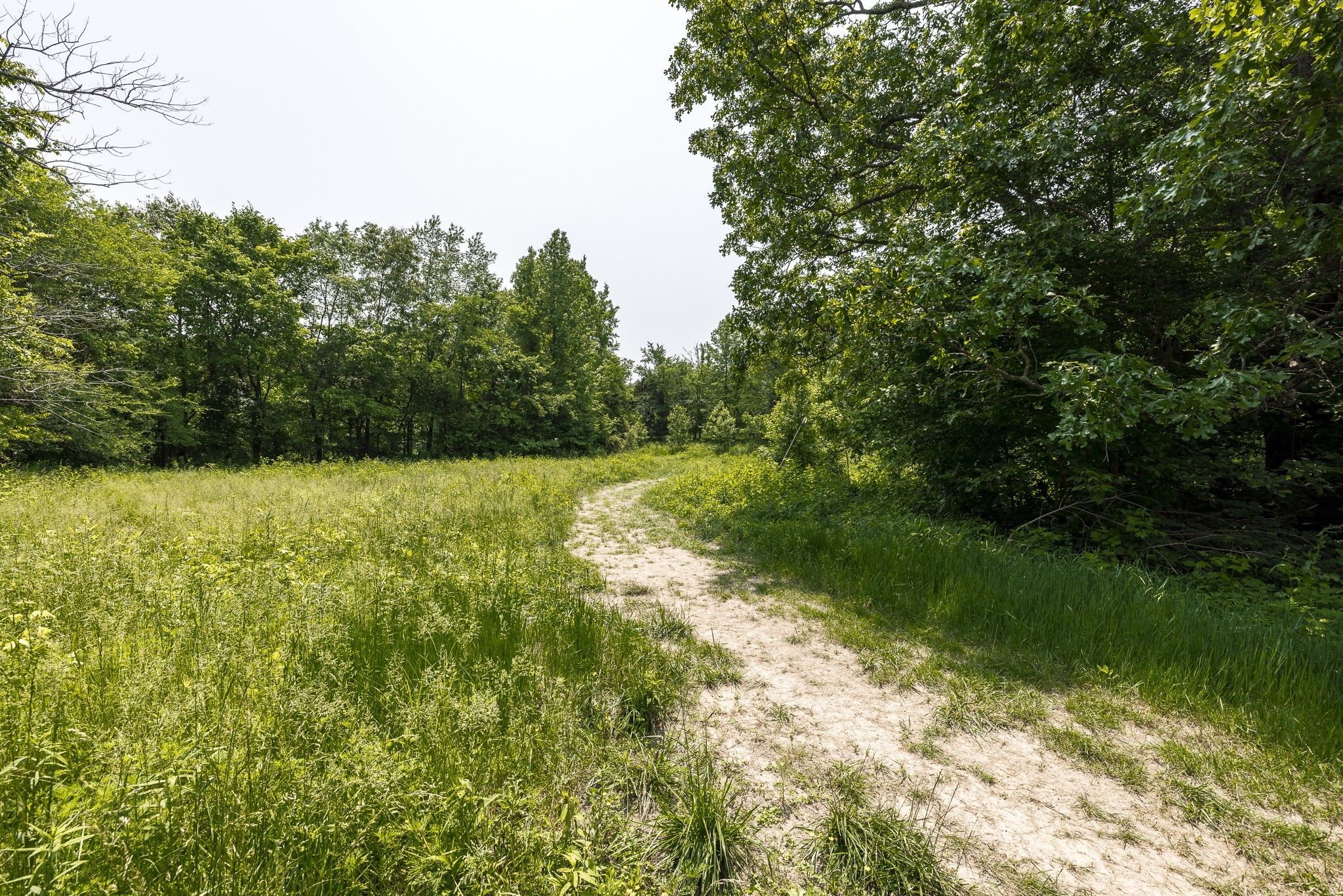 5945 Dewey Carr Road Bethpage, TN 37022 - Photo 48 of 63 Gallery Image 48