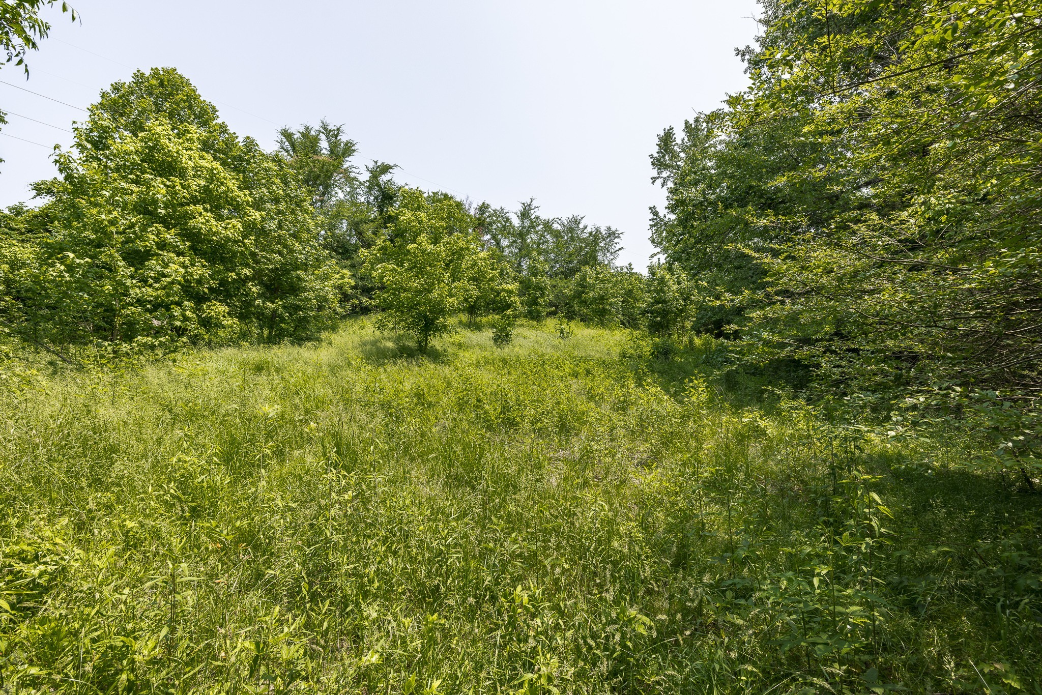 5945 Dewey Carr Road Bethpage, TN 37022 - Photo 62 of 63 Gallery Image 62