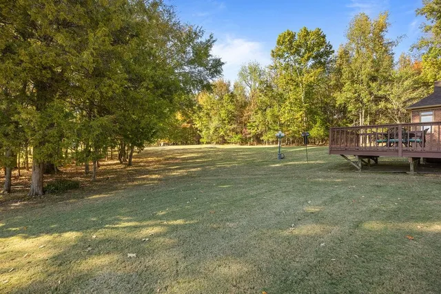 a view of a field with trees in the background
