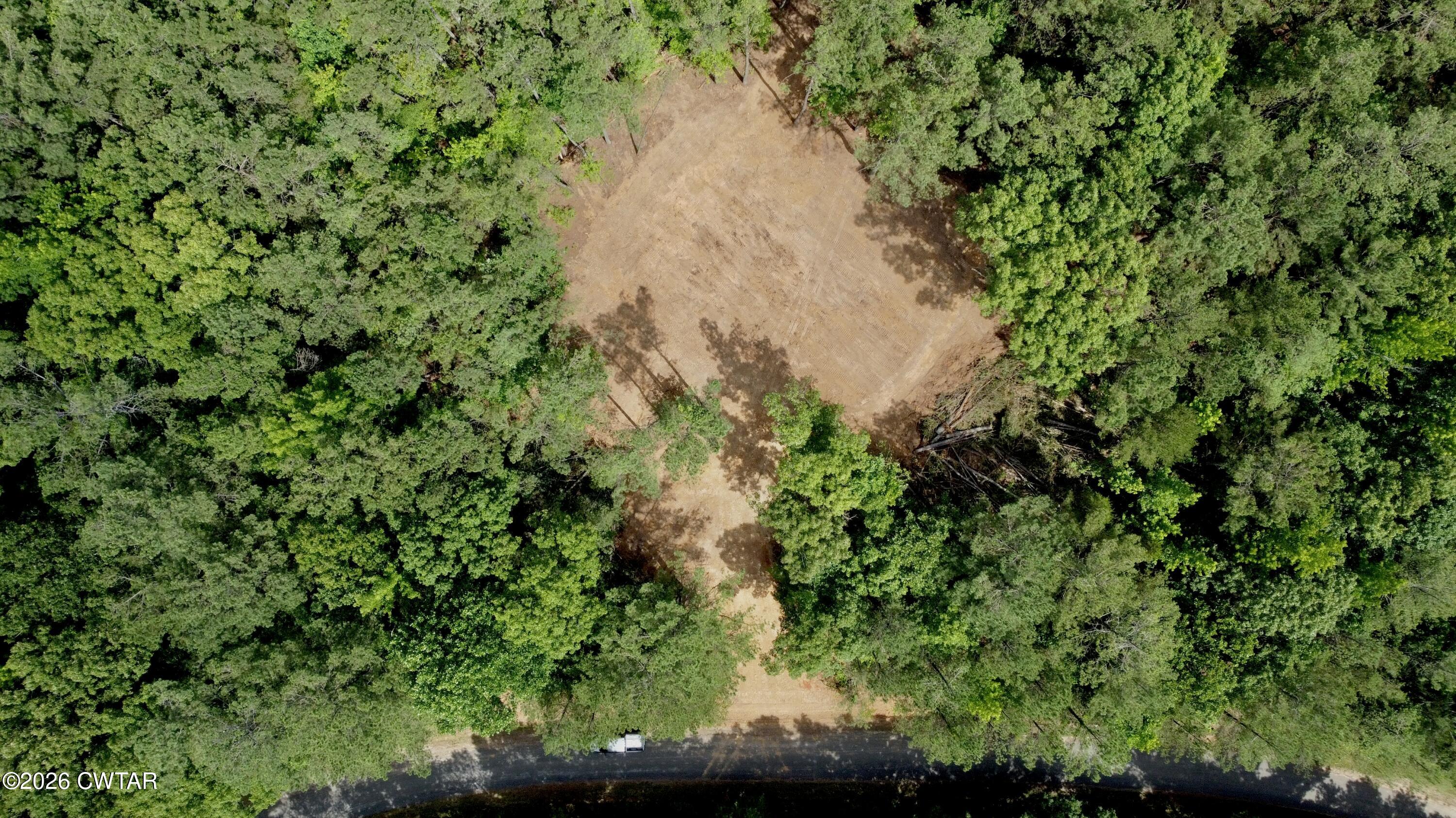 0 Old Lula Road Reagan, TN 38368 - Photo 12 of 18 dji_fly_20260621_150550_213_178207240520