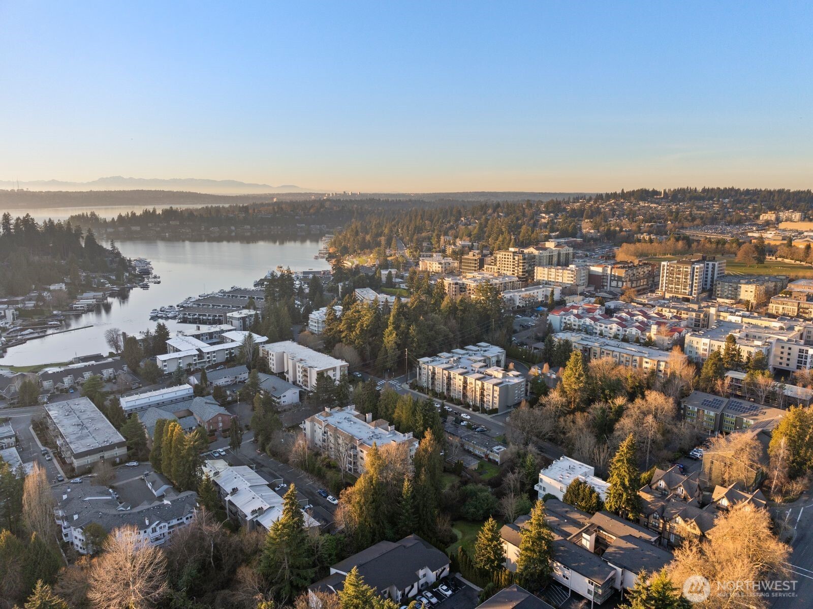 10237 Southeast 3rd Street, Unit 5 Bellevue, WA 98004 - Photo 32 of 35
