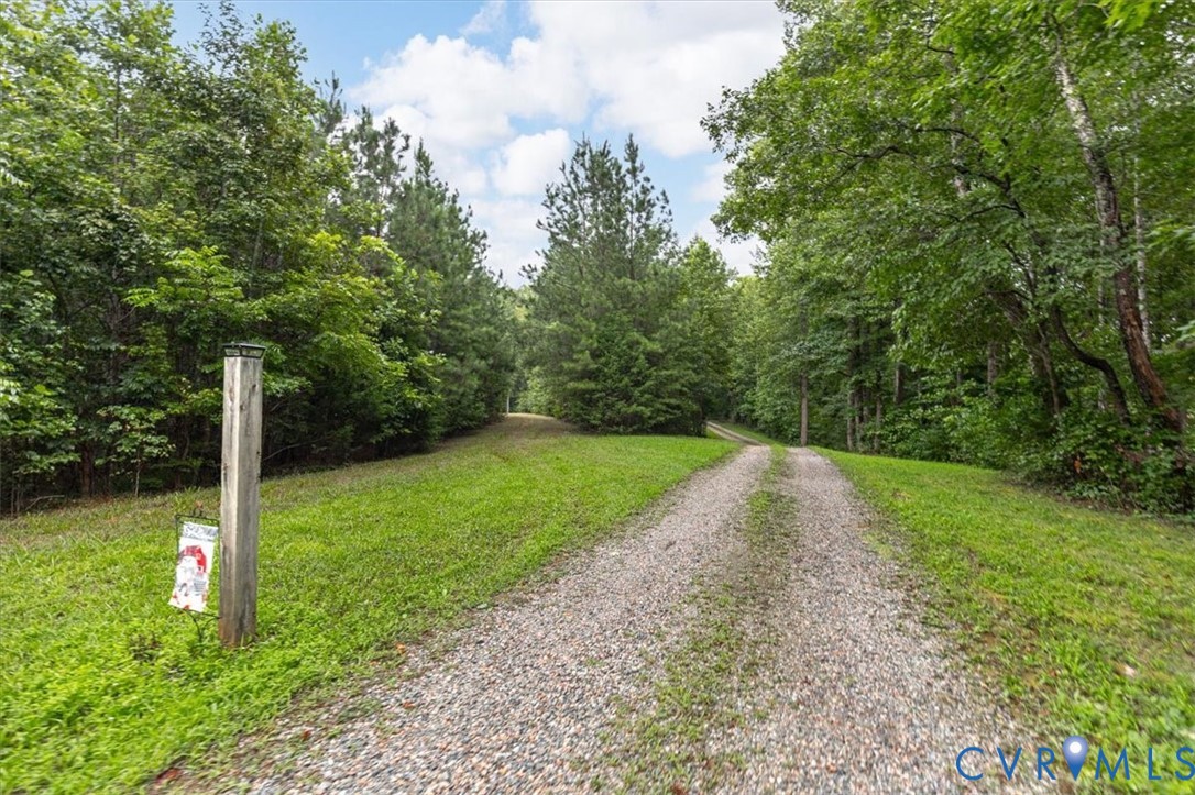 View of dirt / gravel road featuring a forest view