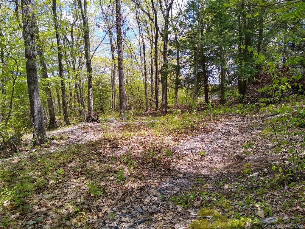 23 Lakeview Road Plymouth, CT 06786 - Photo 1 of 1 View looking into the lot