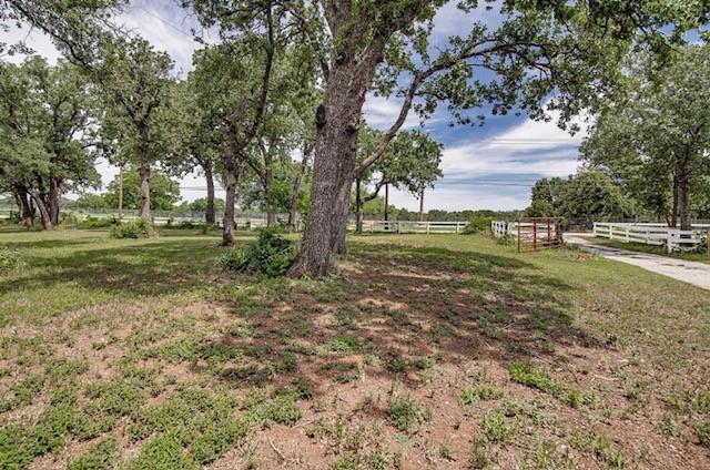 3952 J J Rendon Road Burleson, TX 76028 - Photo 19 of 25 View of the road frontage in one area looking out the gate.