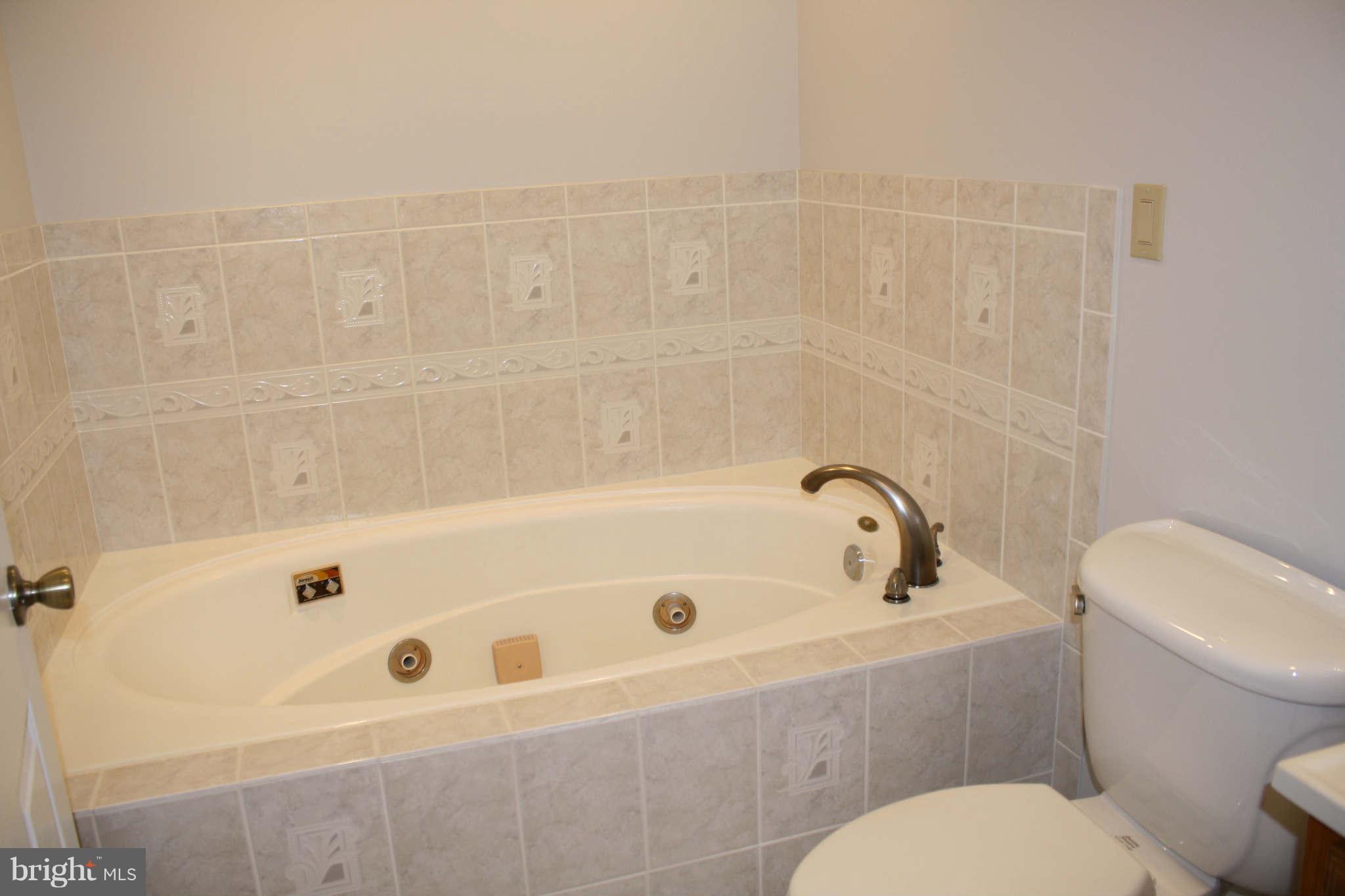 18120 Beallsville Road Poolesville, MD 20837 - Photo 18 of 28 Bath