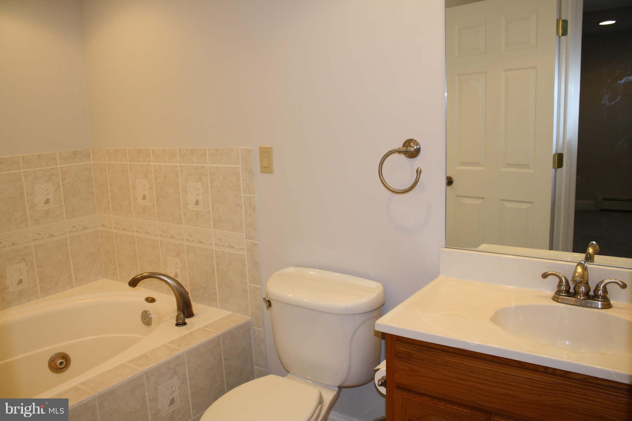 18120 Beallsville Road Poolesville, MD 20837 - Photo 19 of 28 Bath