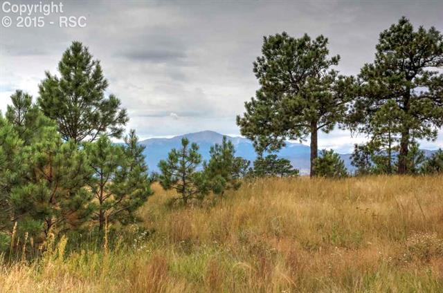 6520 Old Ranch Road Colorado Springs, CO 80908 - Photo 26 of 26 Gallery Image 26