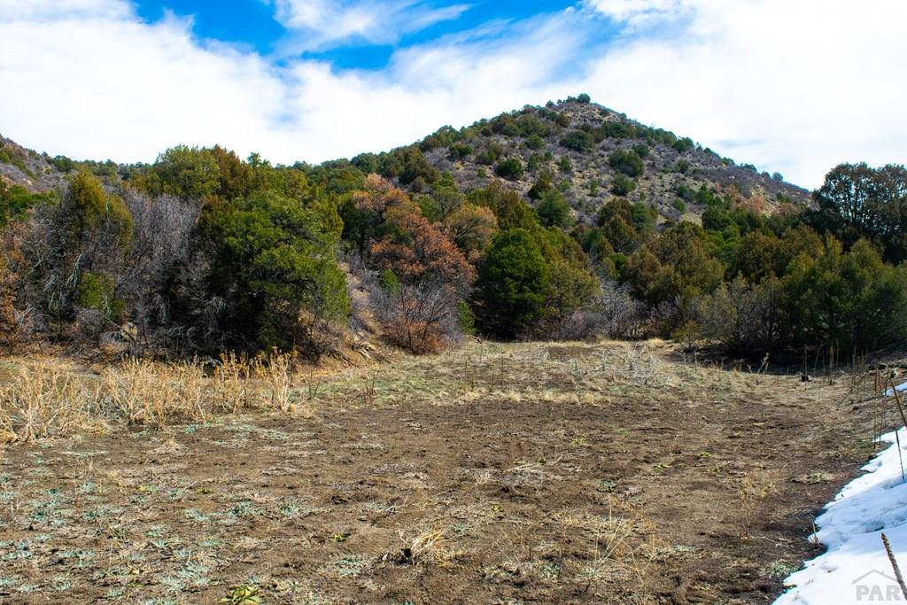 Tbd Turkey Run Trinidad, CO 81082 - Photo 28 of 60