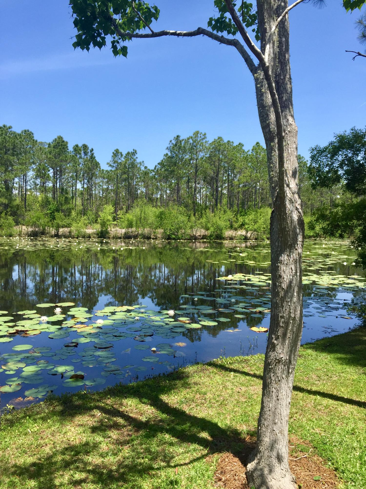Lot 3 Somerset Bridge Road Santa Rosa Beach, FL 32459 - Photo 1 of 4 Gallery Image 1