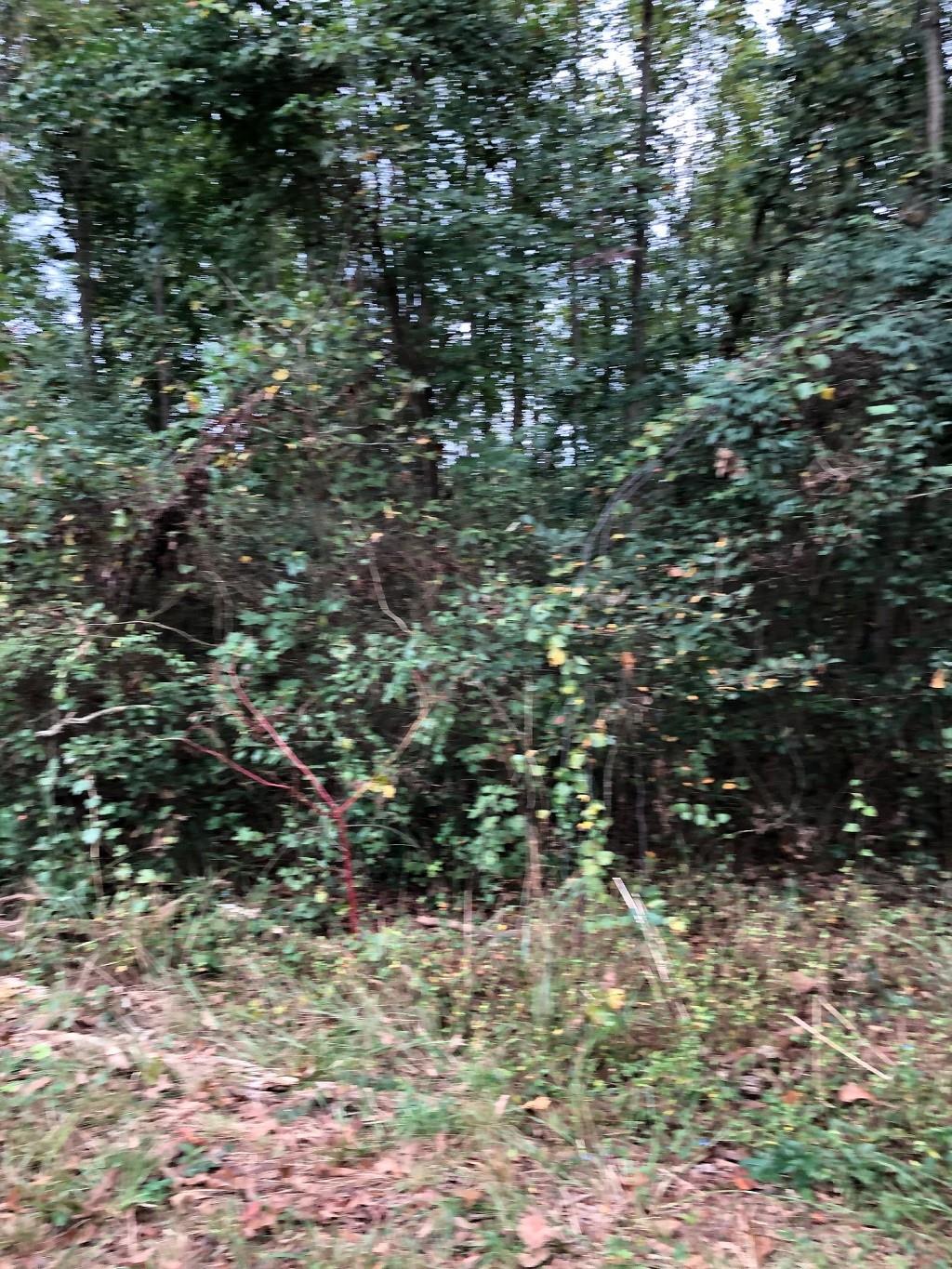 Tbd Graham Road Laurinburg, NC 28352 - Photo 3 of 7 Gallery Image 3
