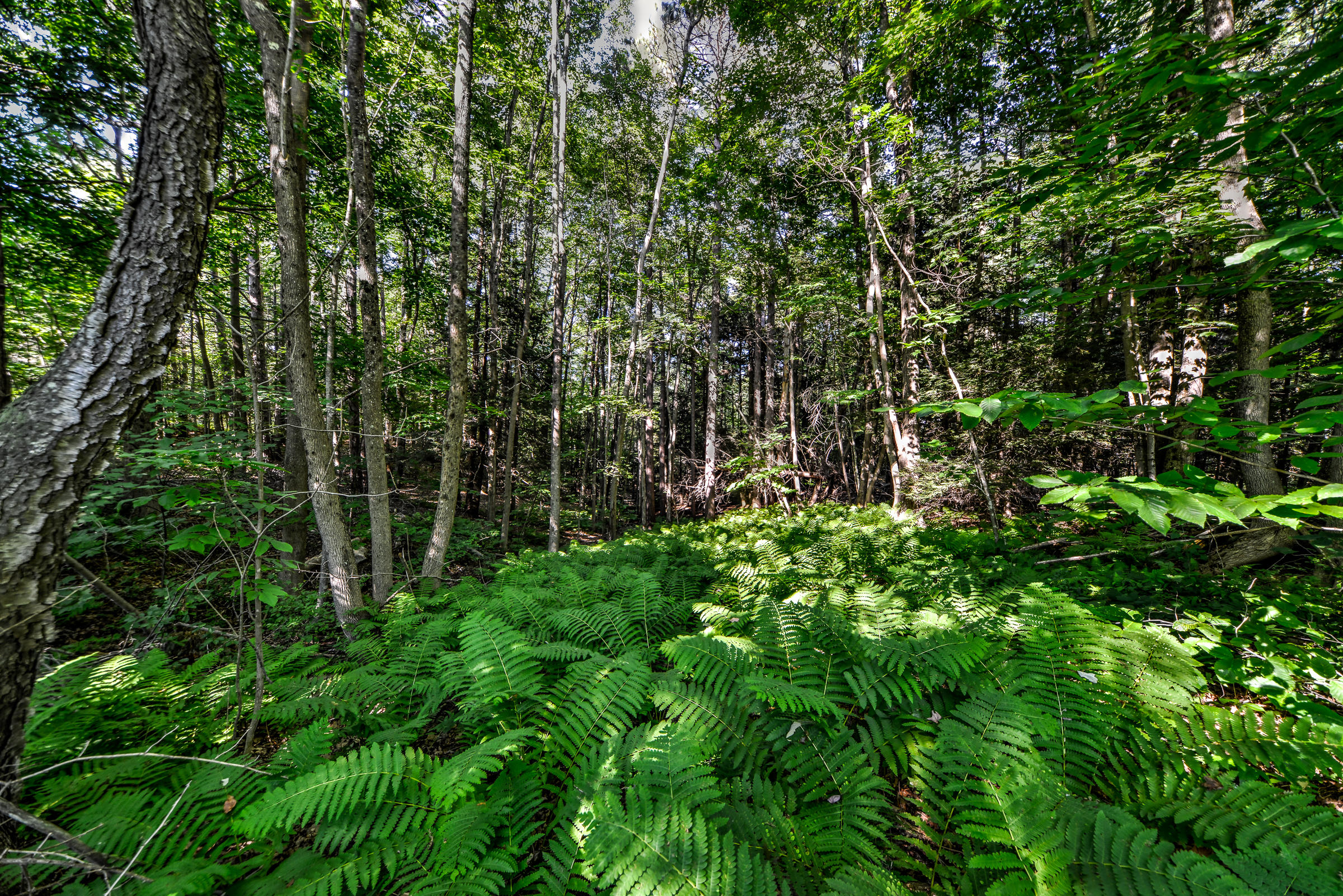 590 River Road Brunswick, ME 04011 - Photo 16 of 42 108057-19