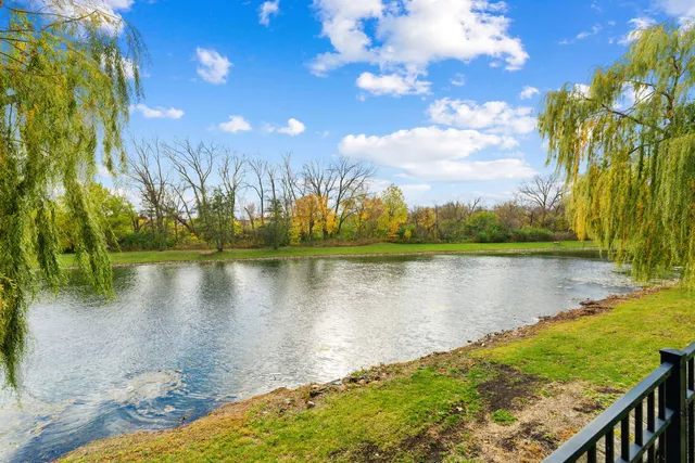 a view of a lake with a yard
