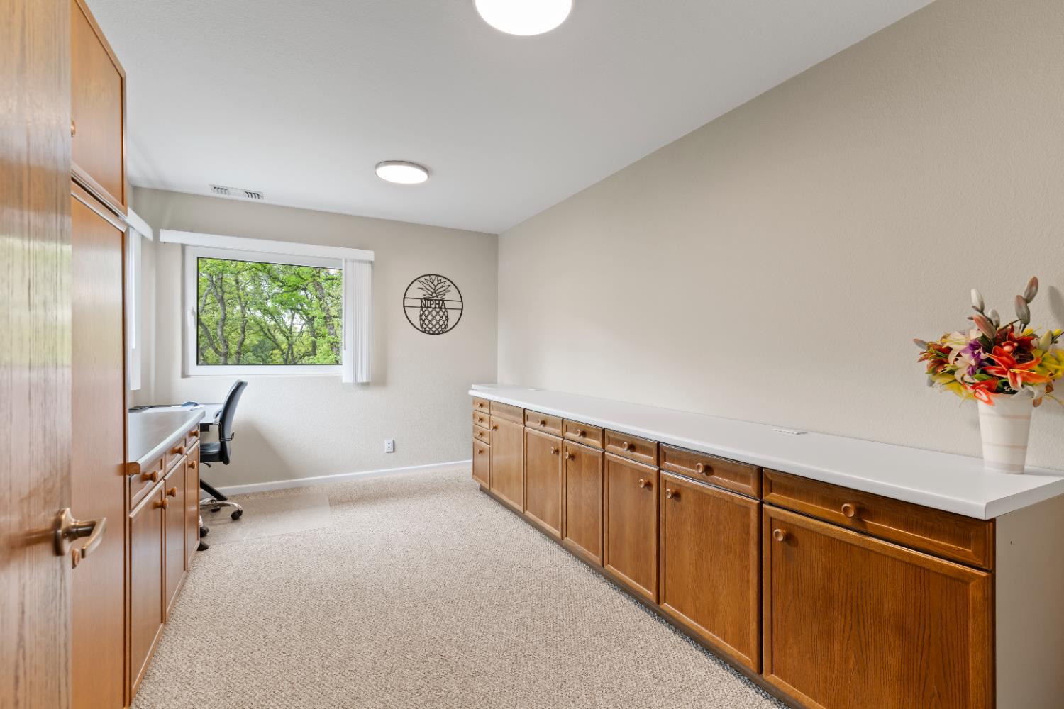 1222 Fruitvale Road Lincoln, CA 95648 - Photo 55 of 90 Gallery Image 55