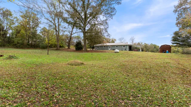 a view of a field with grass and trees