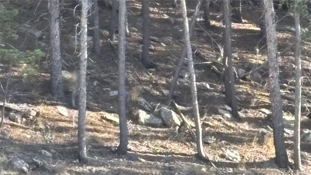 a backyard of a house