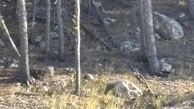 $59,000 | 1 Miners Road, Black Hawk, CO 80422