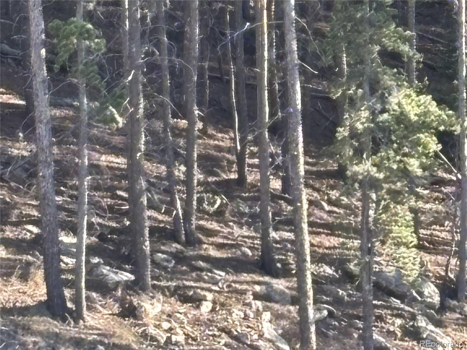 1 Miners Road Black Hawk, CO 80422 - Photo 14 of 16