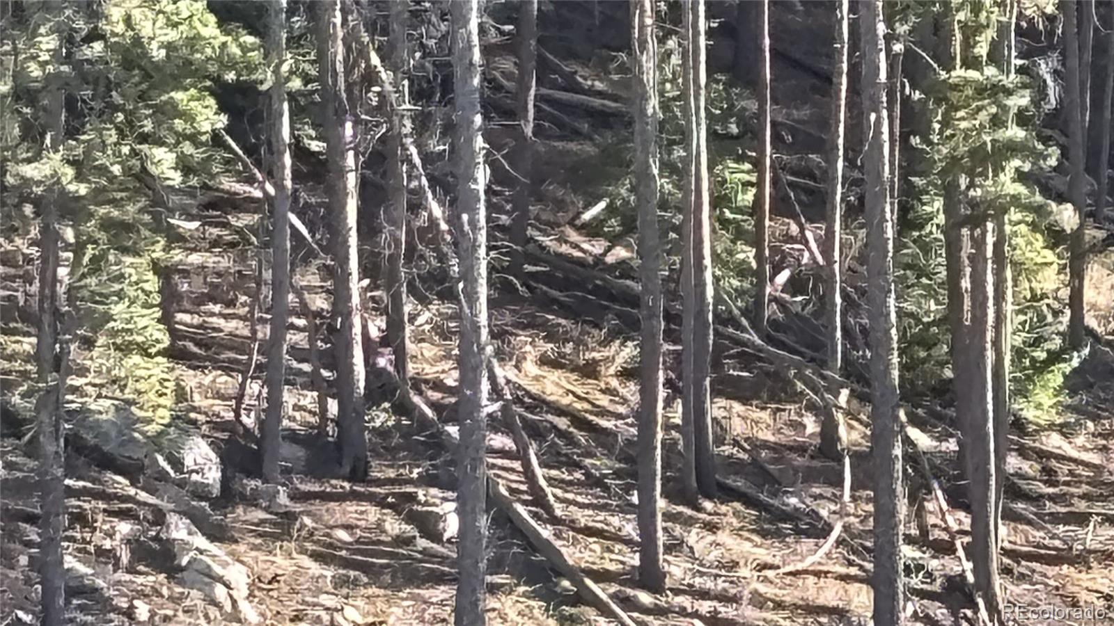 1 Miners Road Black Hawk, CO 80422 - Photo 16 of 16