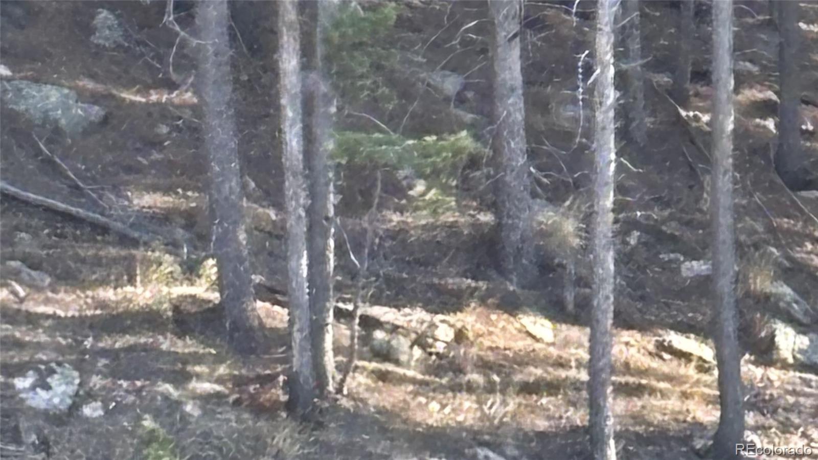 1 Miners Road Black Hawk, CO 80422 - Photo 3 of 16