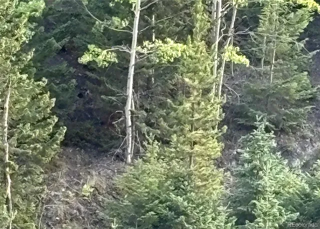 a view of a bathroom