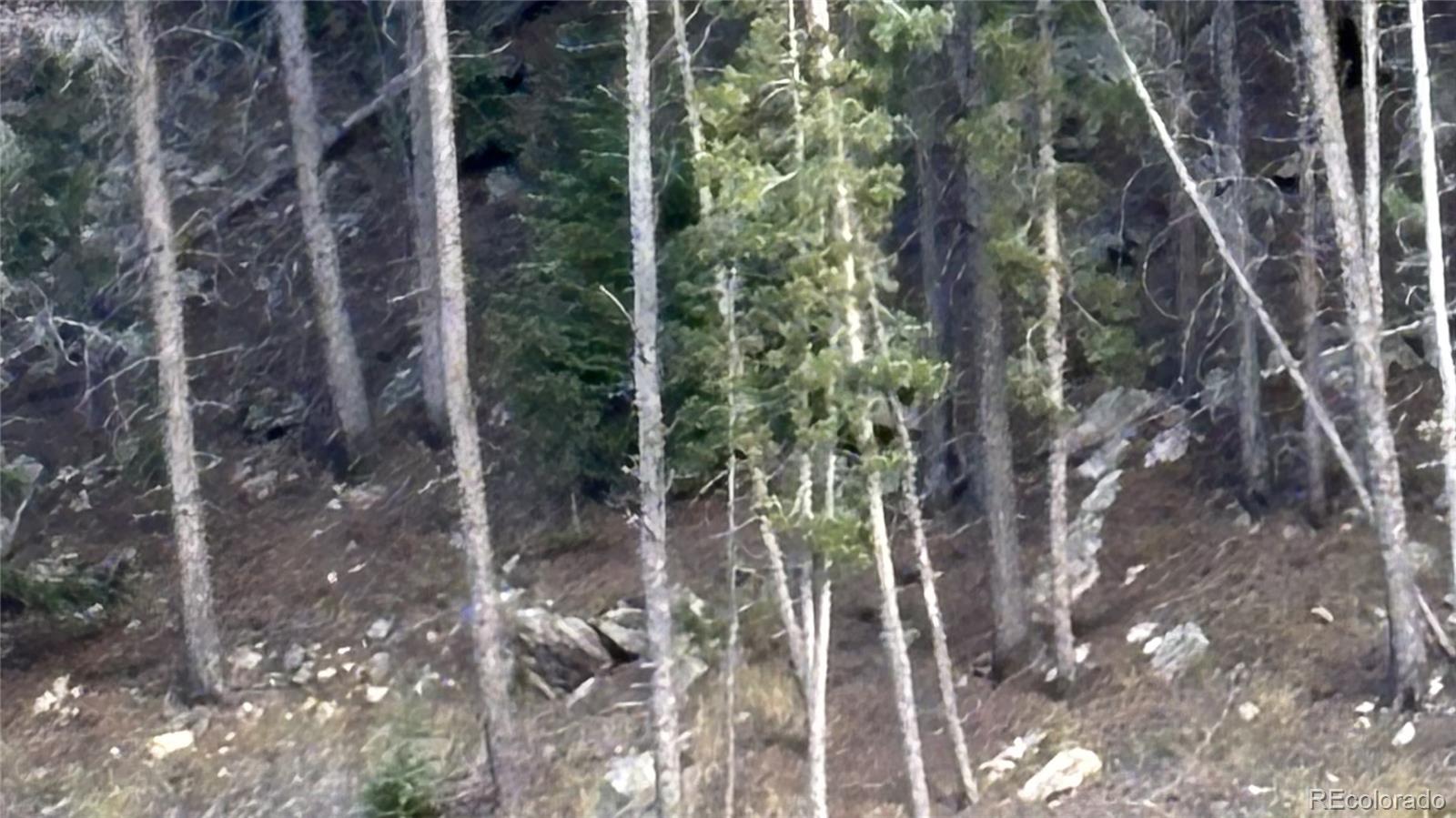 1 Miners Road Black Hawk, CO 80422 - Photo 8 of 16