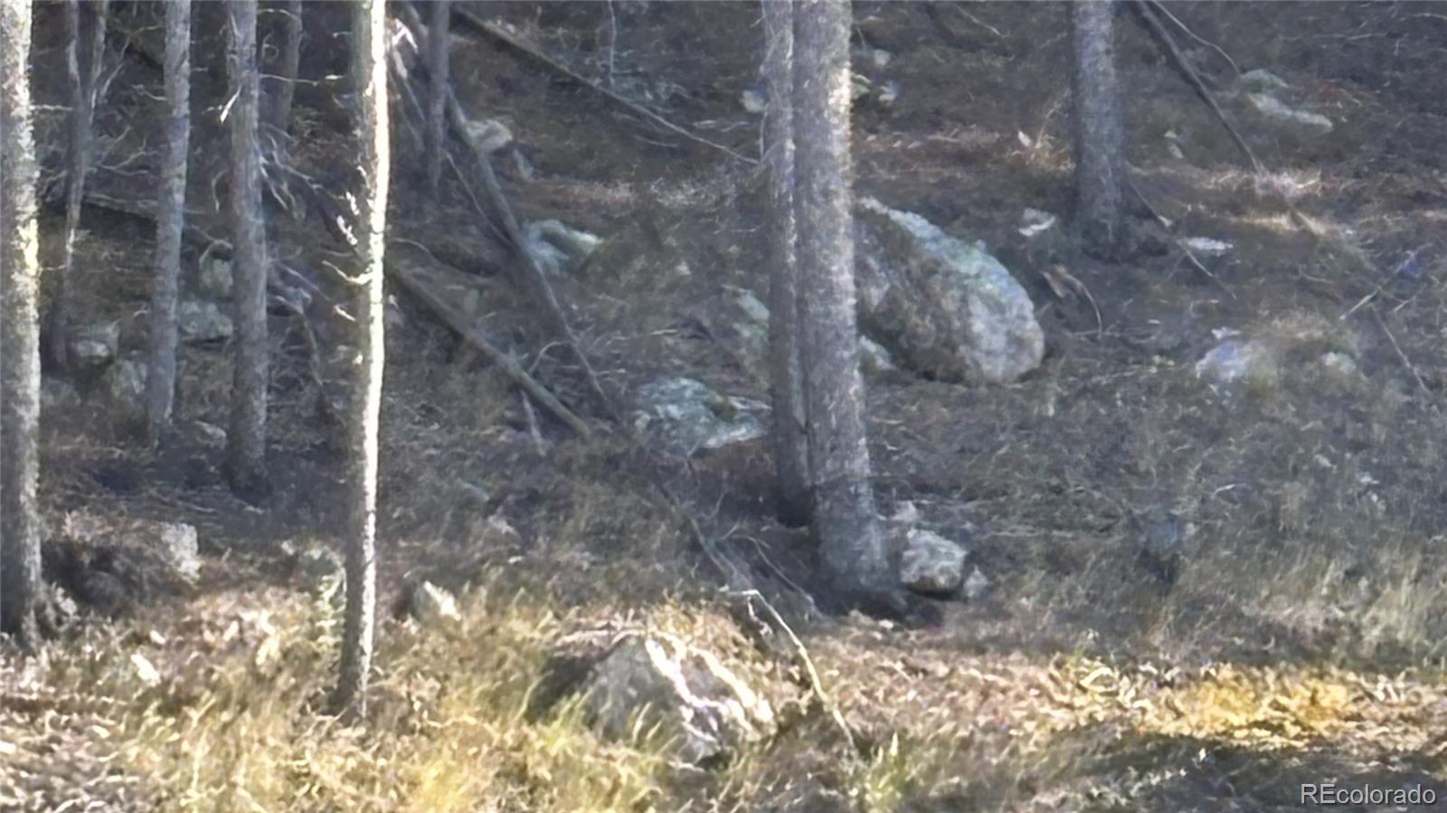 1 Miners Road Black Hawk, CO 80422 - Photo 9 of 16 a view of a bathroom