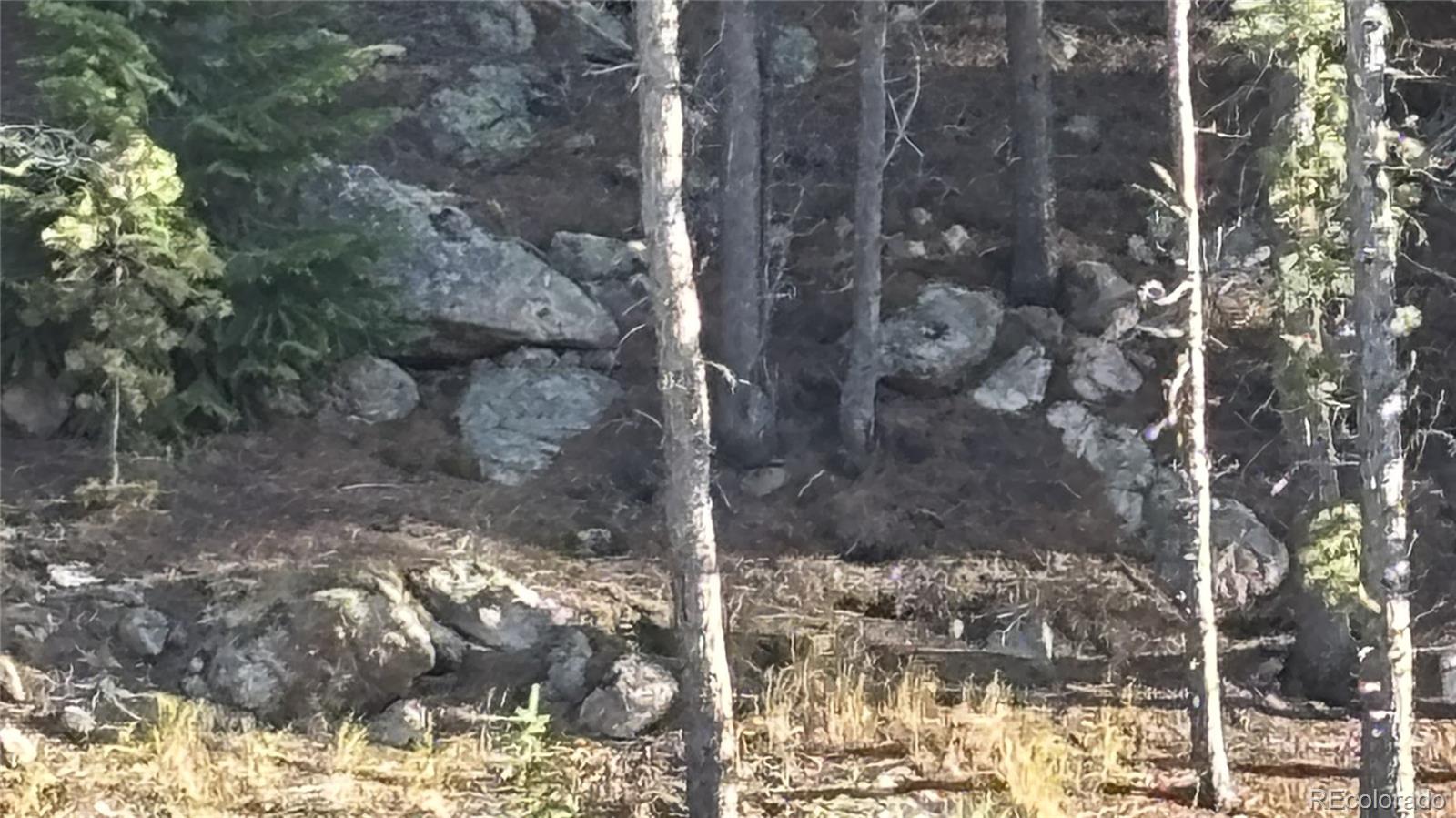 1 Miners Road Black Hawk, CO 80422 - Photo 10 of 16 a view of a forest that has a tree