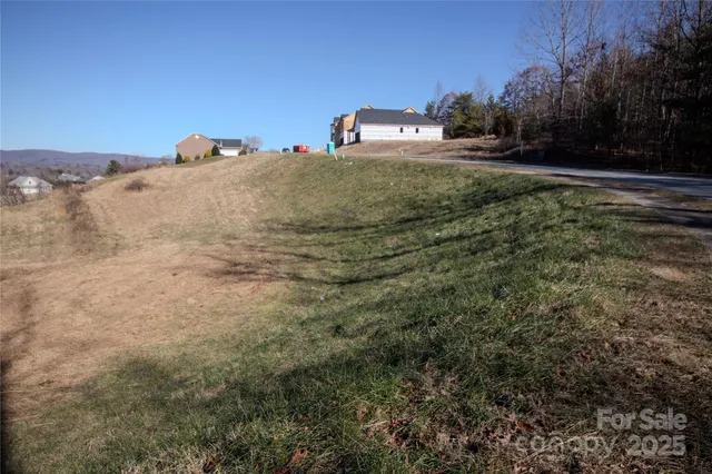 a view of a dry yard with trees