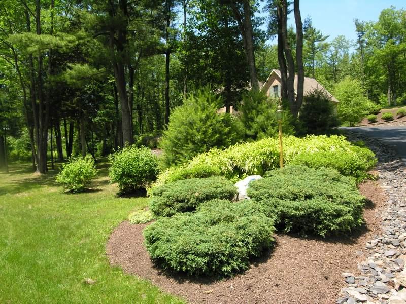 108 Kelly Road Stroudsburg, PA 18360 - Photo 3 of 20 Curb Appeal!!