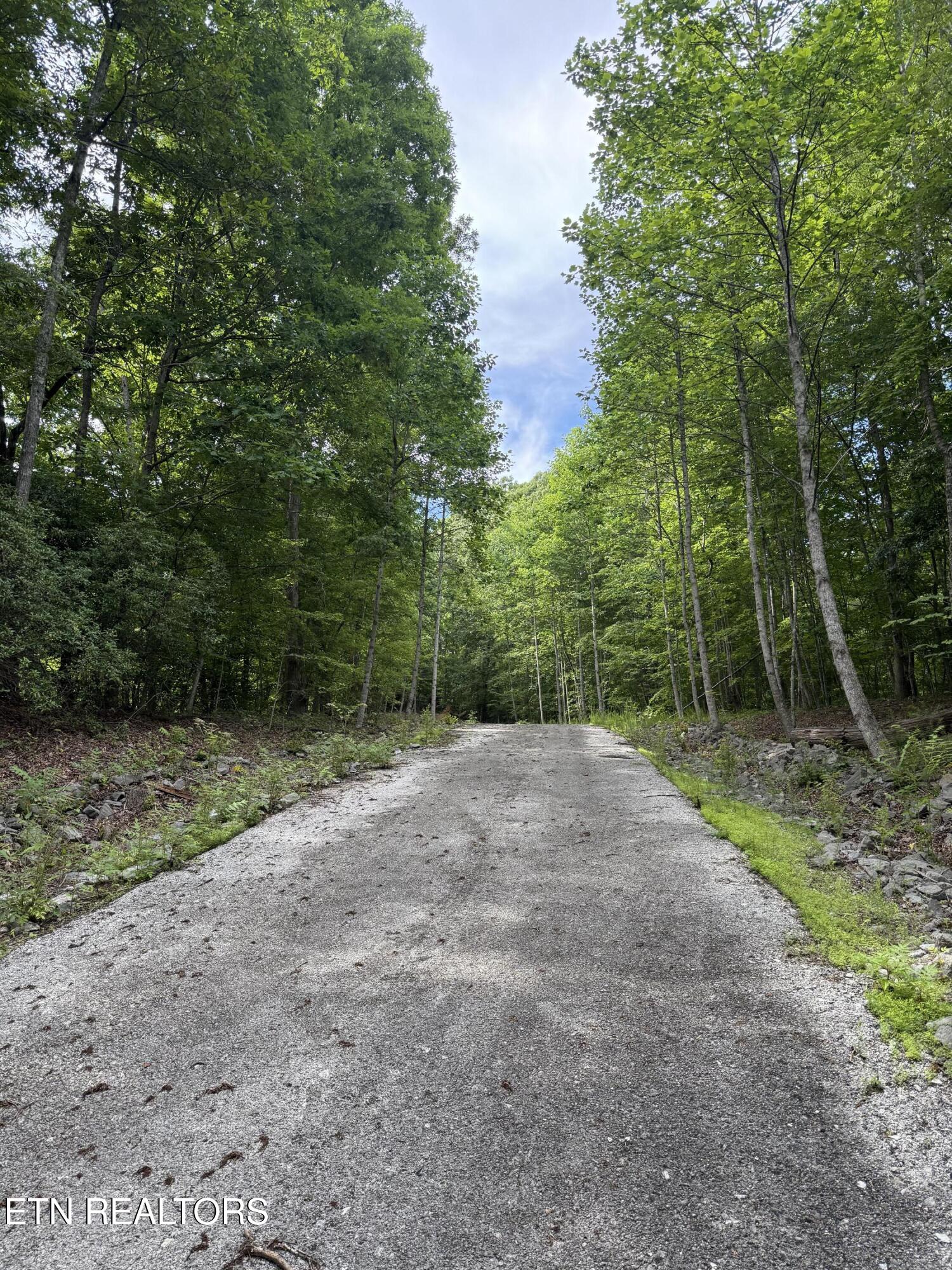 228 Crystal Springs Road Rockwood, TN 37854 - Photo 13 of 13 IMG_1138