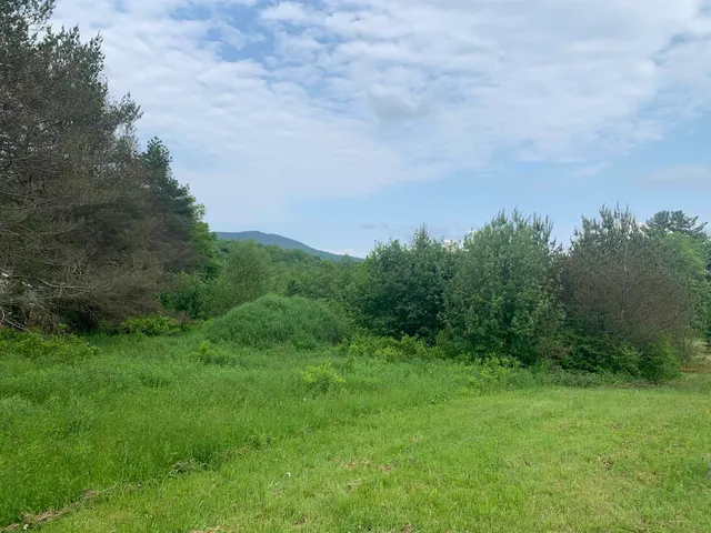 $59,500 | 118 Vt Route, Unit 2C, Belvidere Center, VT 05442