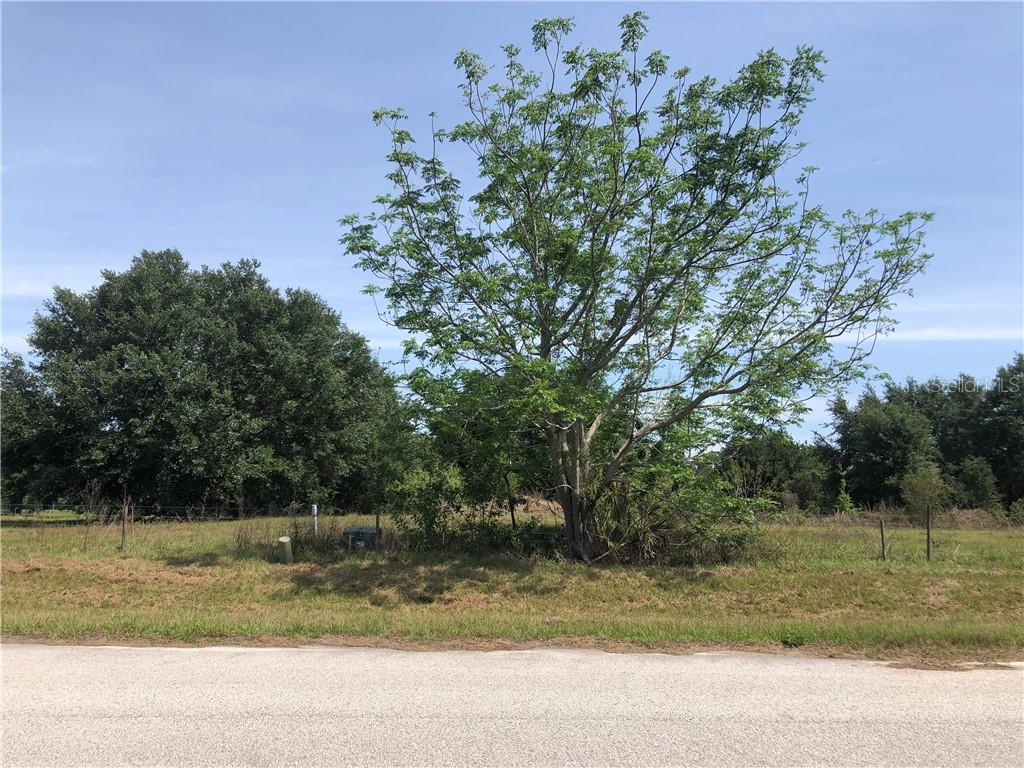 10019 Simmons Ranch Court Riverview, FL 33578 - Photo 1 of 1 Gallery Image 1