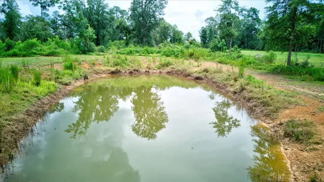 $160,000 | 1720 County Road 1550, Warren, TX 77664