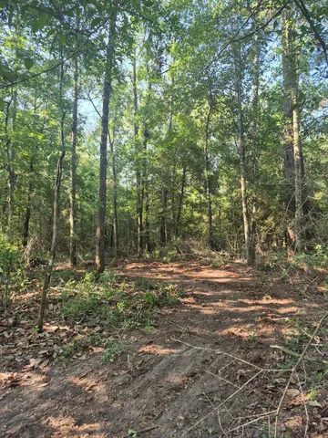 $160,000 | 1720 County Road 1550, Warren, TX 77664