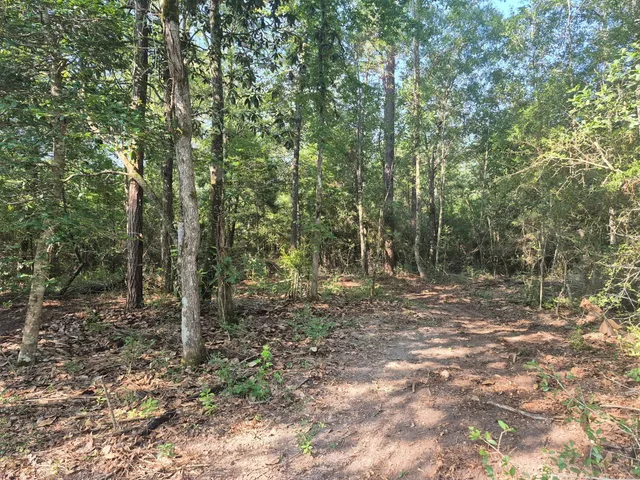 $160,000 | 1720 County Road 1550, Warren, TX 77664