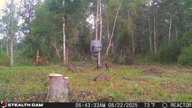 $160,000 | 1720 County Road 1550, Warren, TX 77664