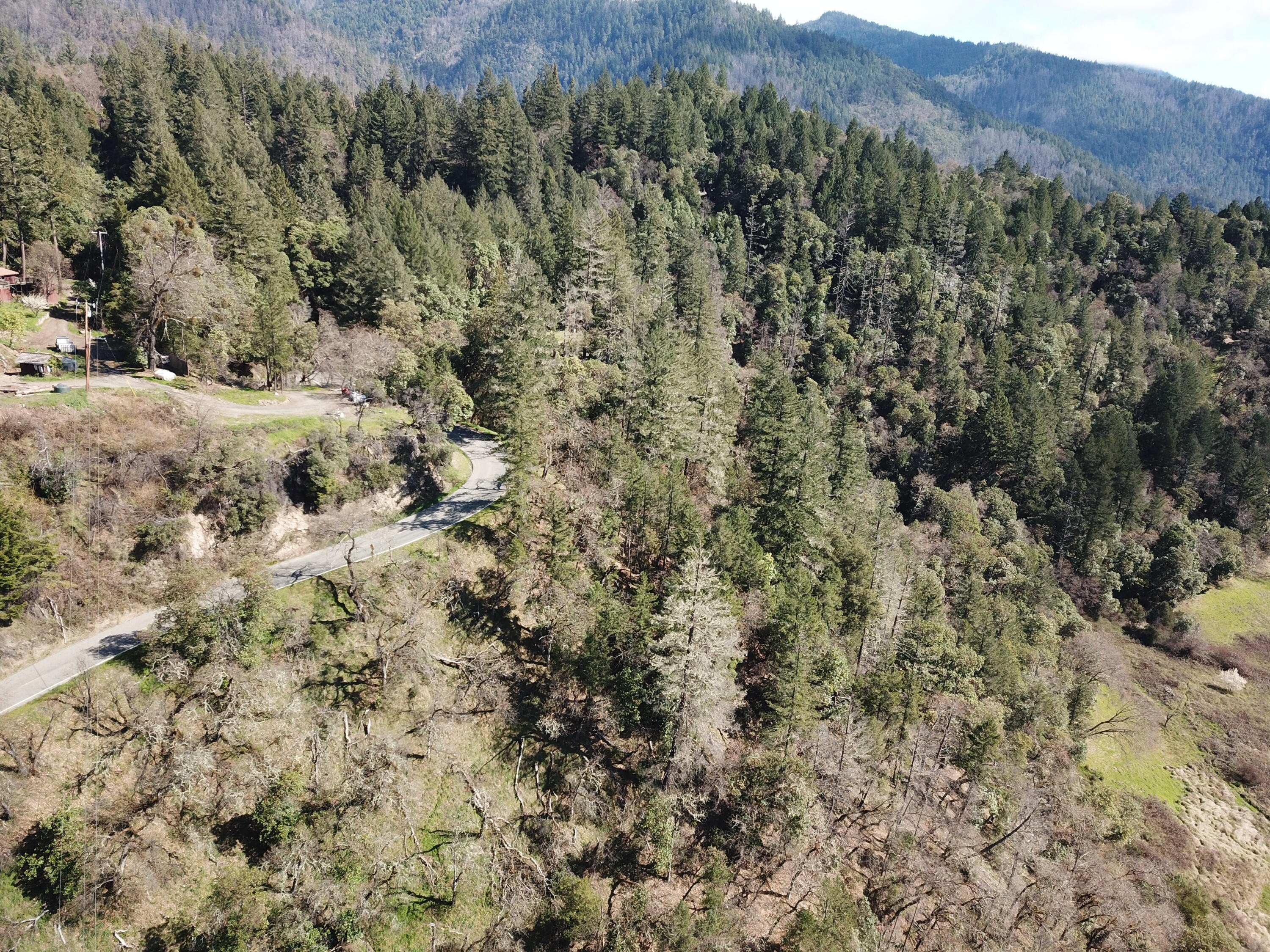 1330 Salyer Loop Road Salyer, CA 95563 - Photo 4 of 26