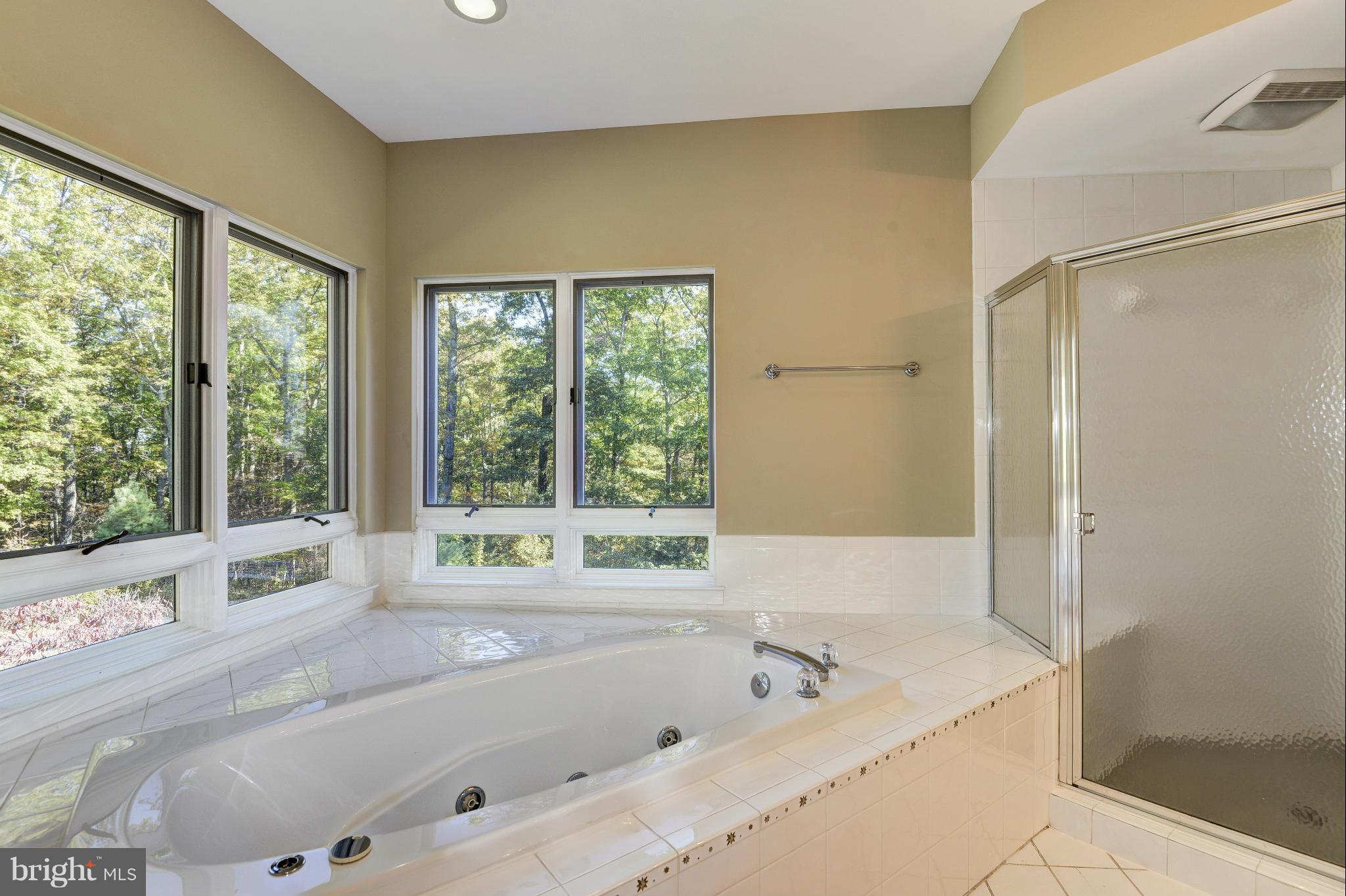 23409 New Mountain Road Aldie, VA 20105 - Photo 14 of 30 Bath (Master)