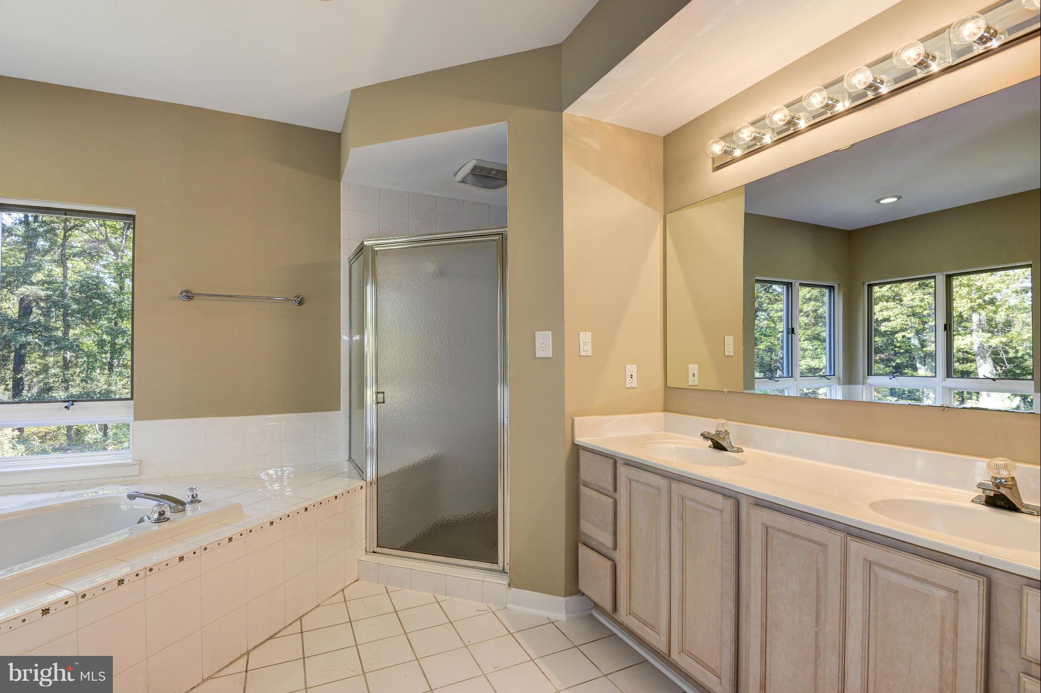 23409 New Mountain Road Aldie, VA 20105 - Photo 15 of 30 Bath (Master)