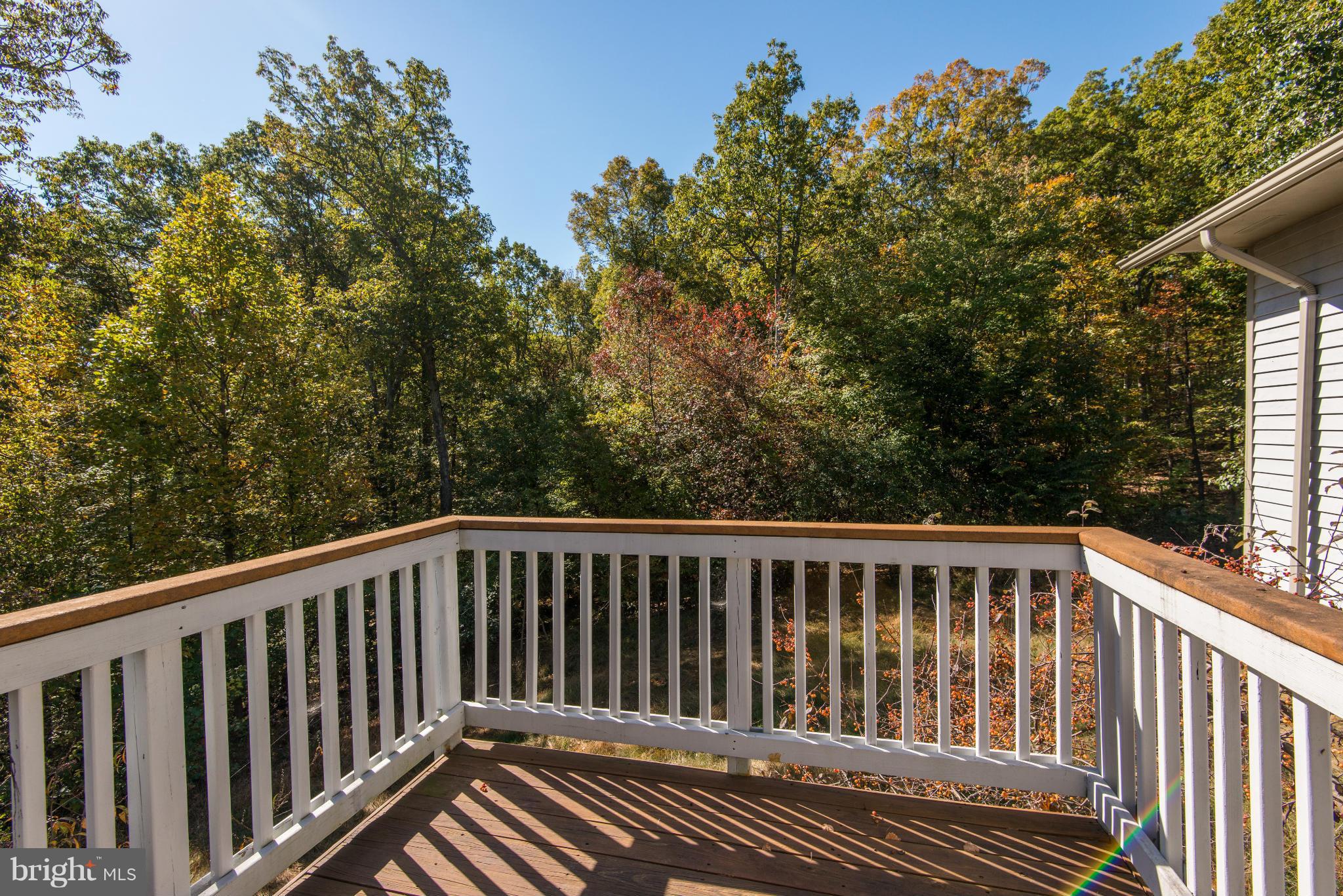 23409 New Mountain Road Aldie, VA 20105 - Photo 27 of 30 Exterior (General)