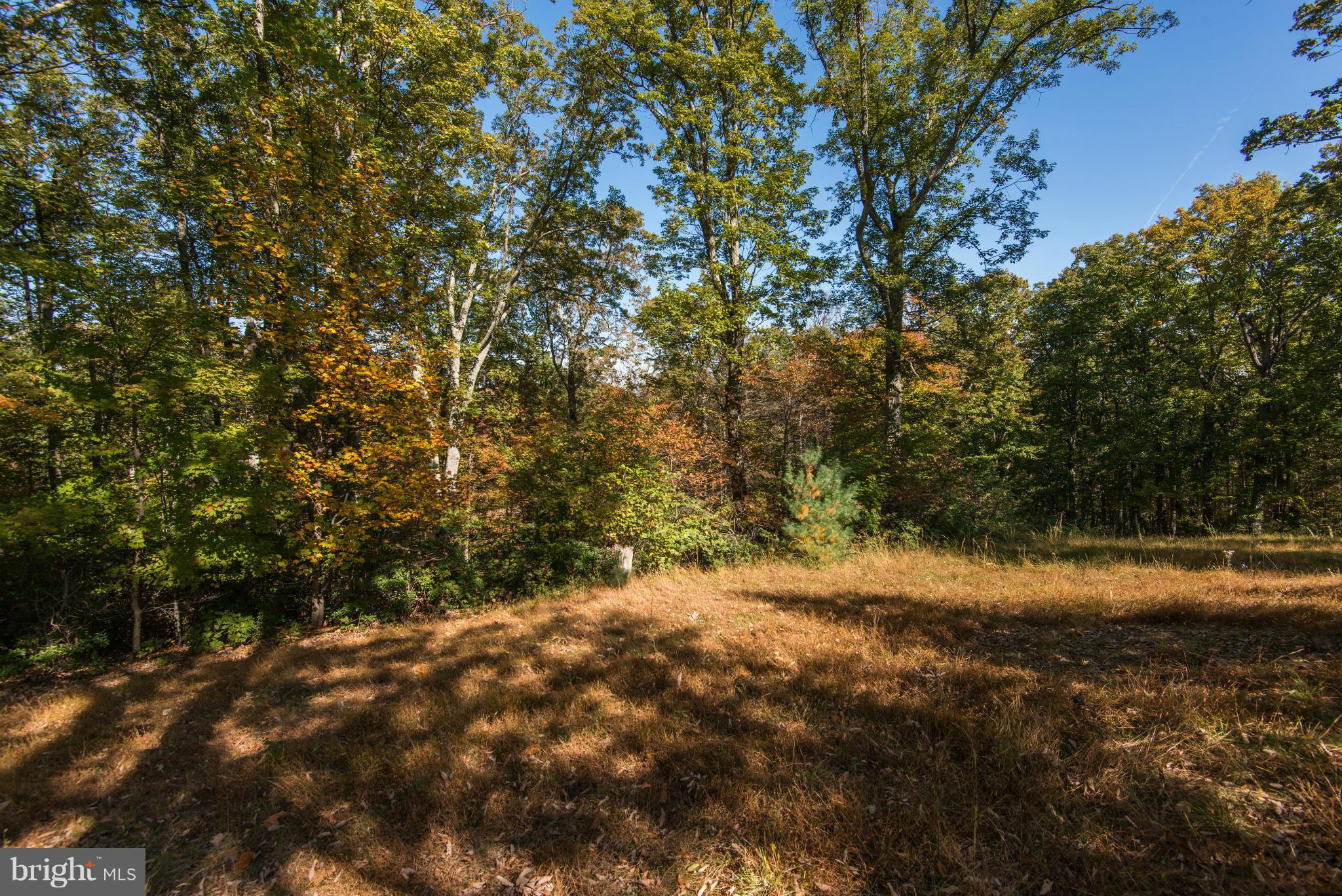23409 New Mountain Road Aldie, VA 20105 - Photo 30 of 30 Beautiful Fall Colors