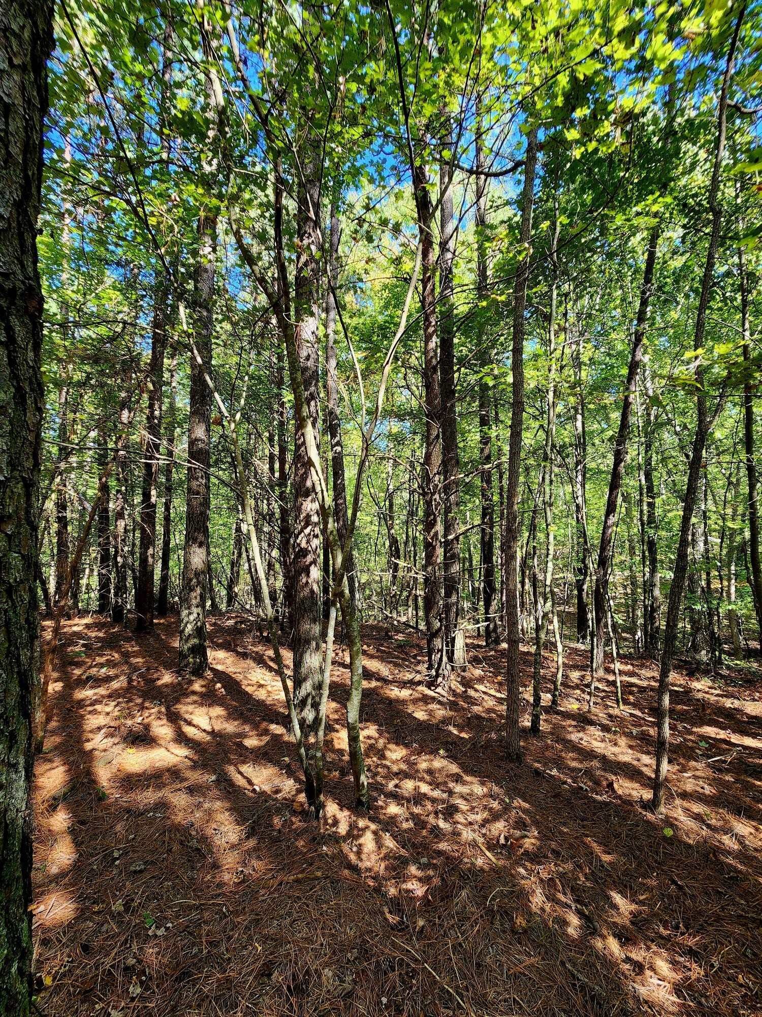 0 Ridge Wood Lane Spencer, TN 38585 - Photo 11 of 28 Gallery Image 11