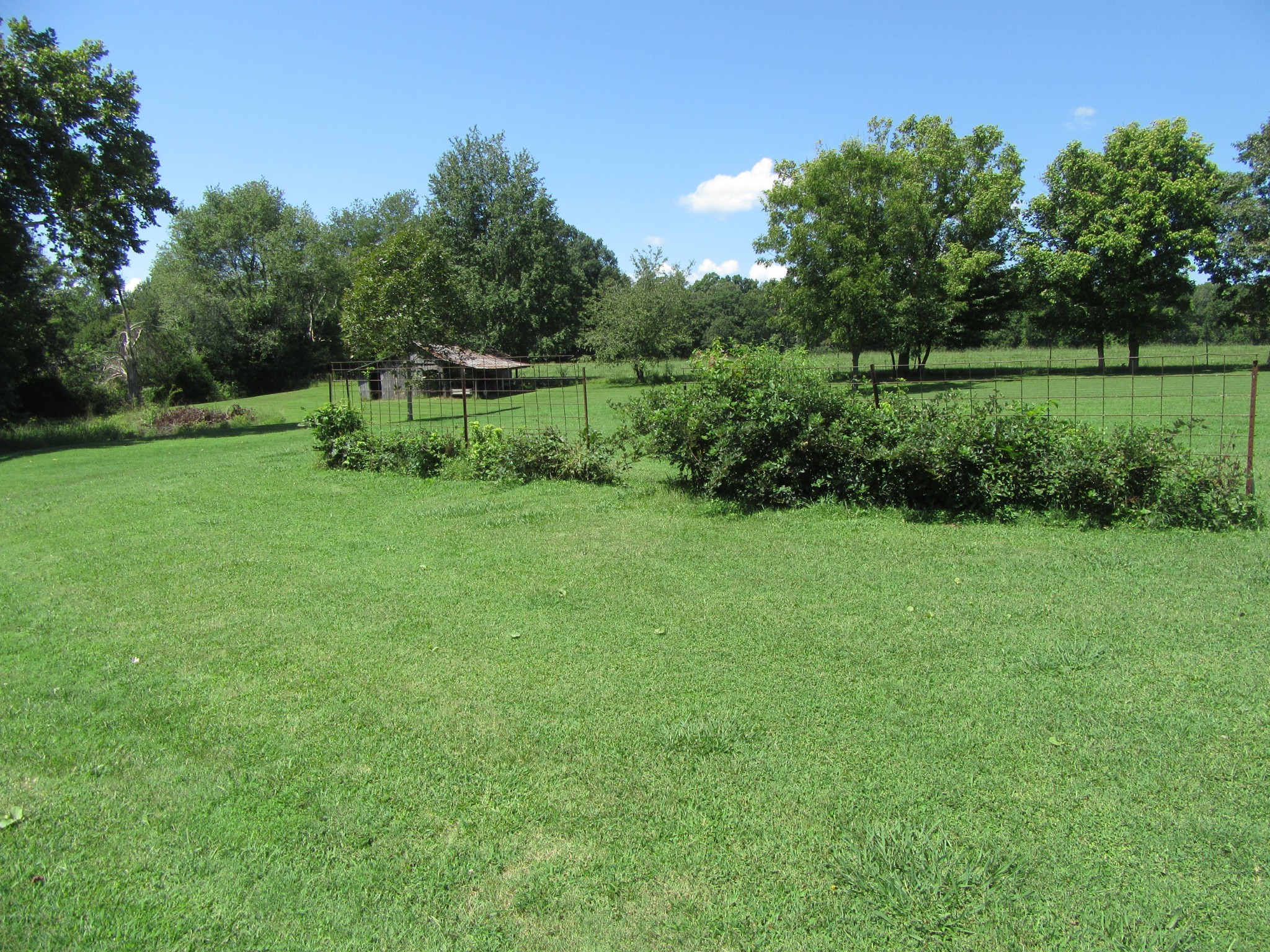 116 Little Hurricane Road Winchester, TN 37398 - Photo 6 of 23 a view of a grassy field with trees in the background