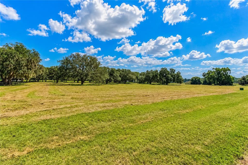 104 Southwest 104th Street Road Ocala, FL 34476 - Photo 11 of 19 Gallery Image 11