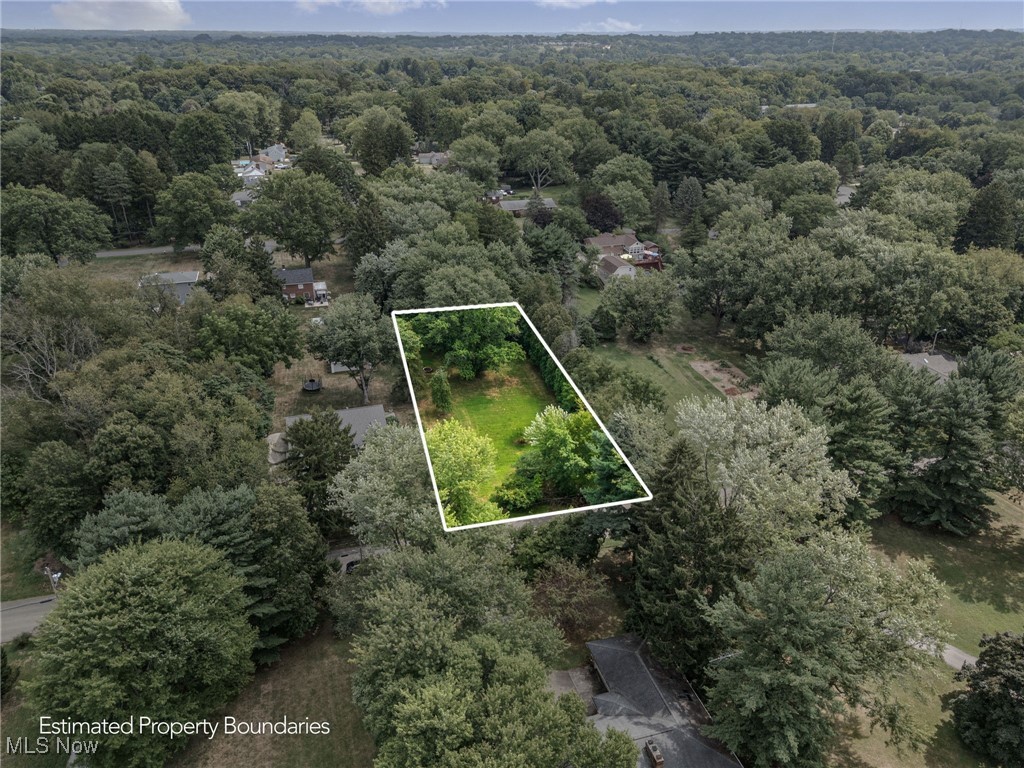 Elberta Avenue Southwest Canton, OH 44709 - Photo 4 of 10