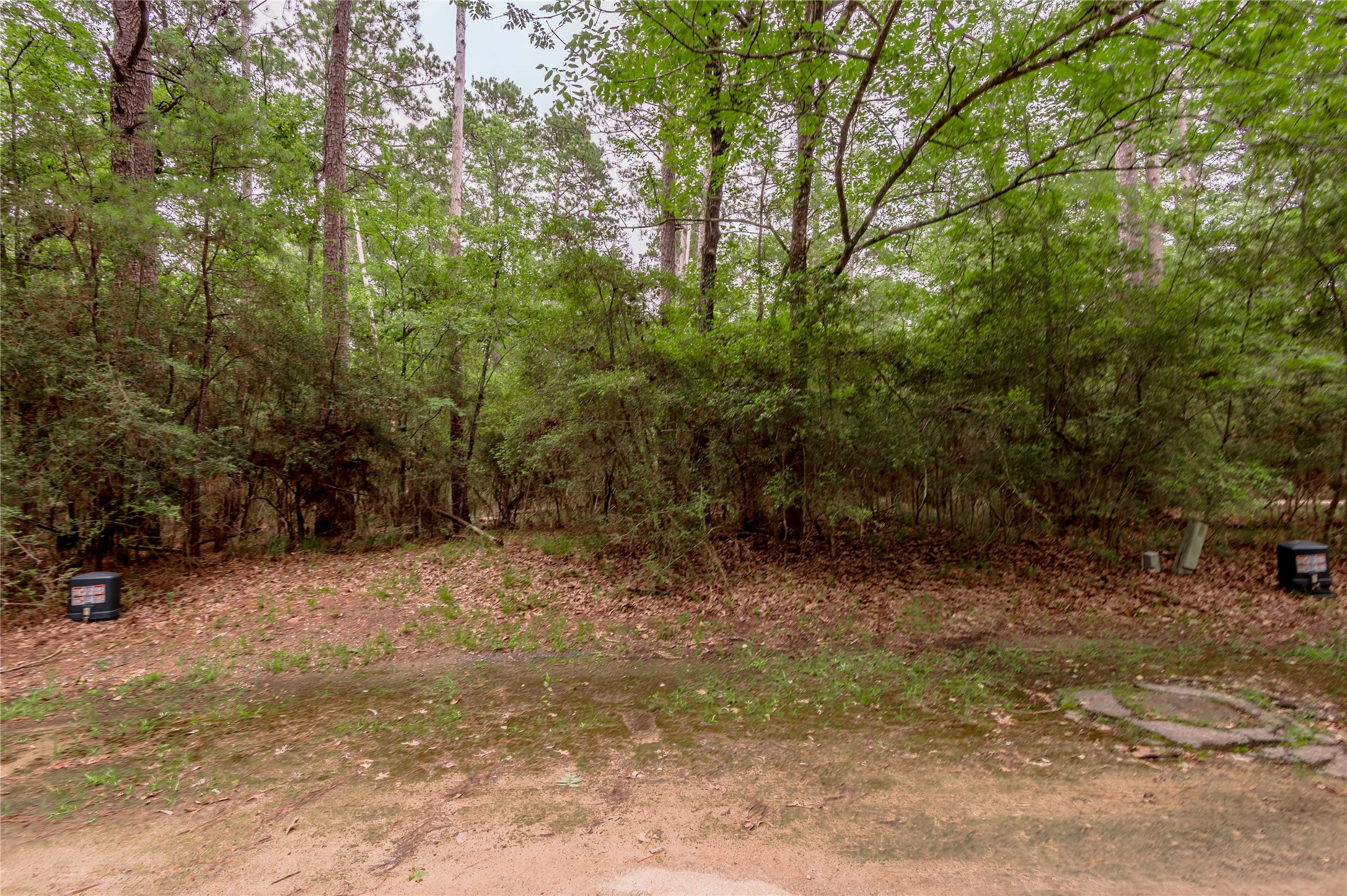 Lot 9 Rohm Place Point Blank, TX 77364 - Photo 6 of 26