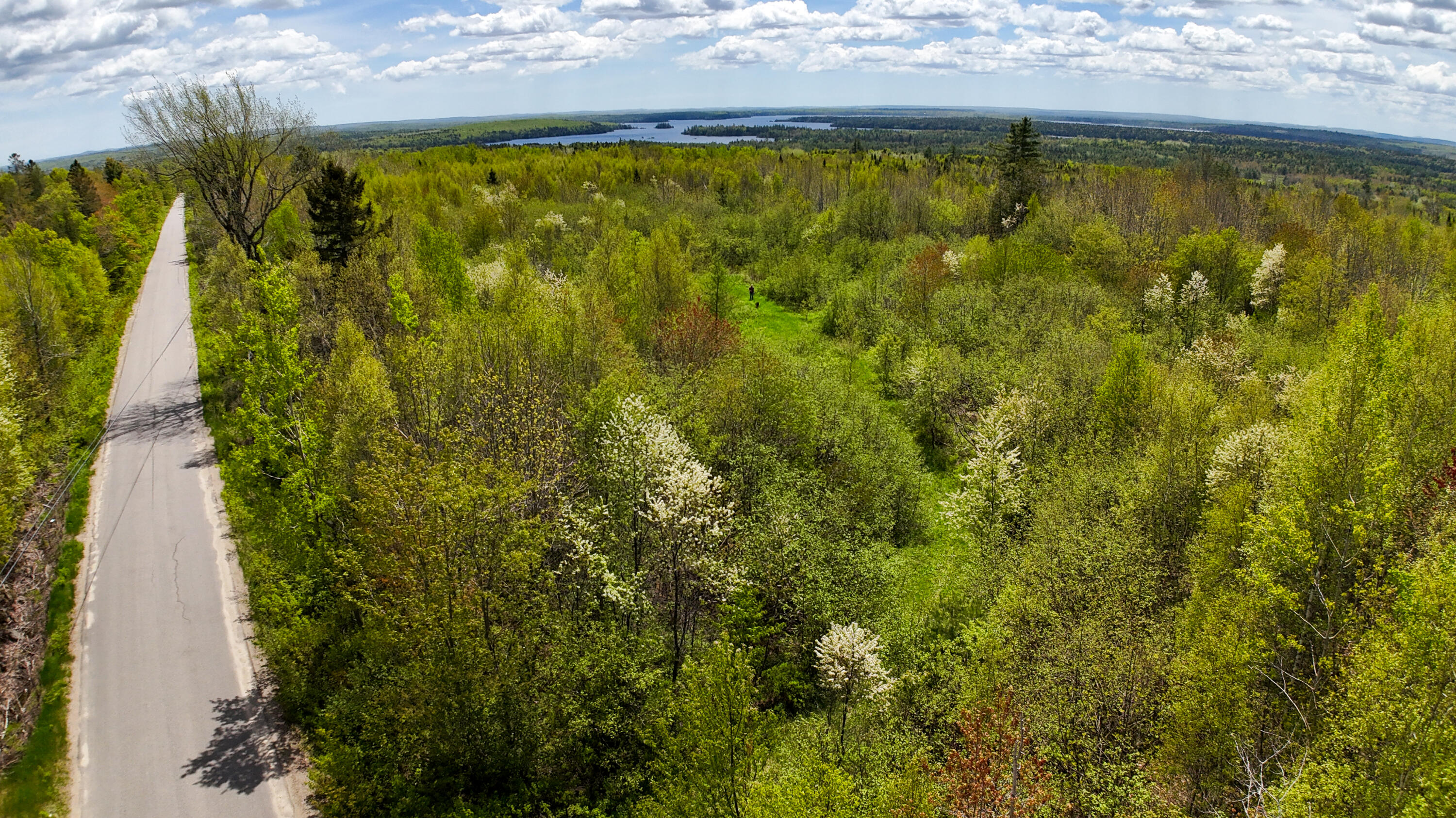 Lot 4 East Ridge Road Cooper, ME 04657 - Photo 5 of 20 RIDGE ROAD LOT 4-5
