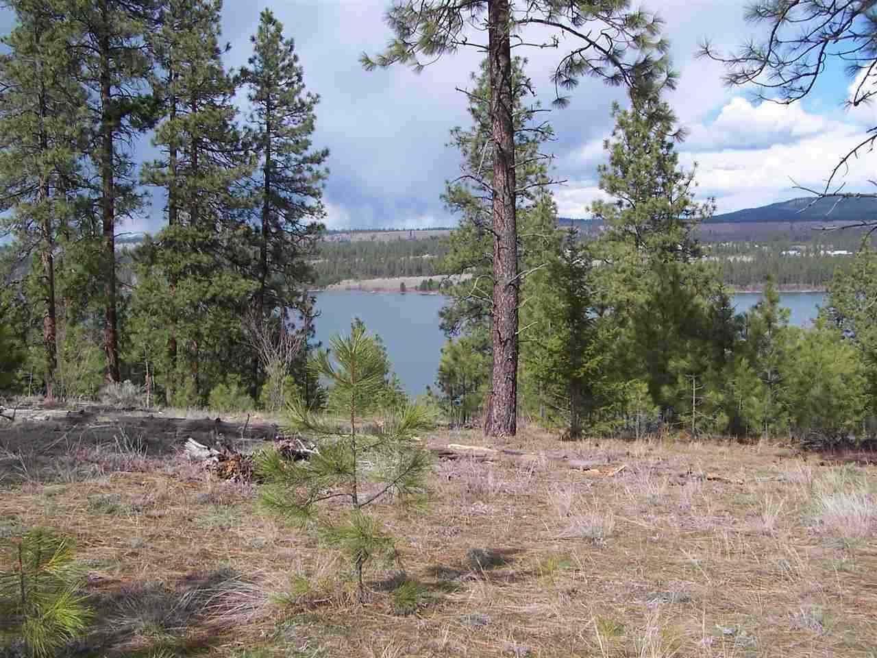 Xxx West Long Lake Road Ford, WA 99013 - Photo 1 of 14 Gallery Image 1