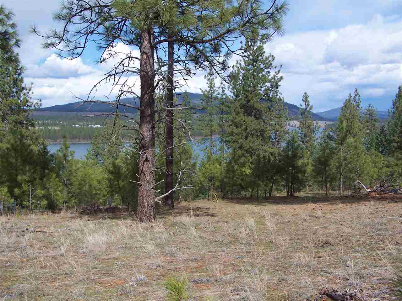 Xxx West Long Lake Road Ford, WA 99013 - Photo 2 of 14 Gallery Image 2